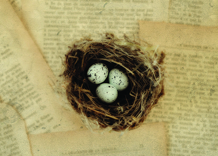 Birds Nest.jpg web