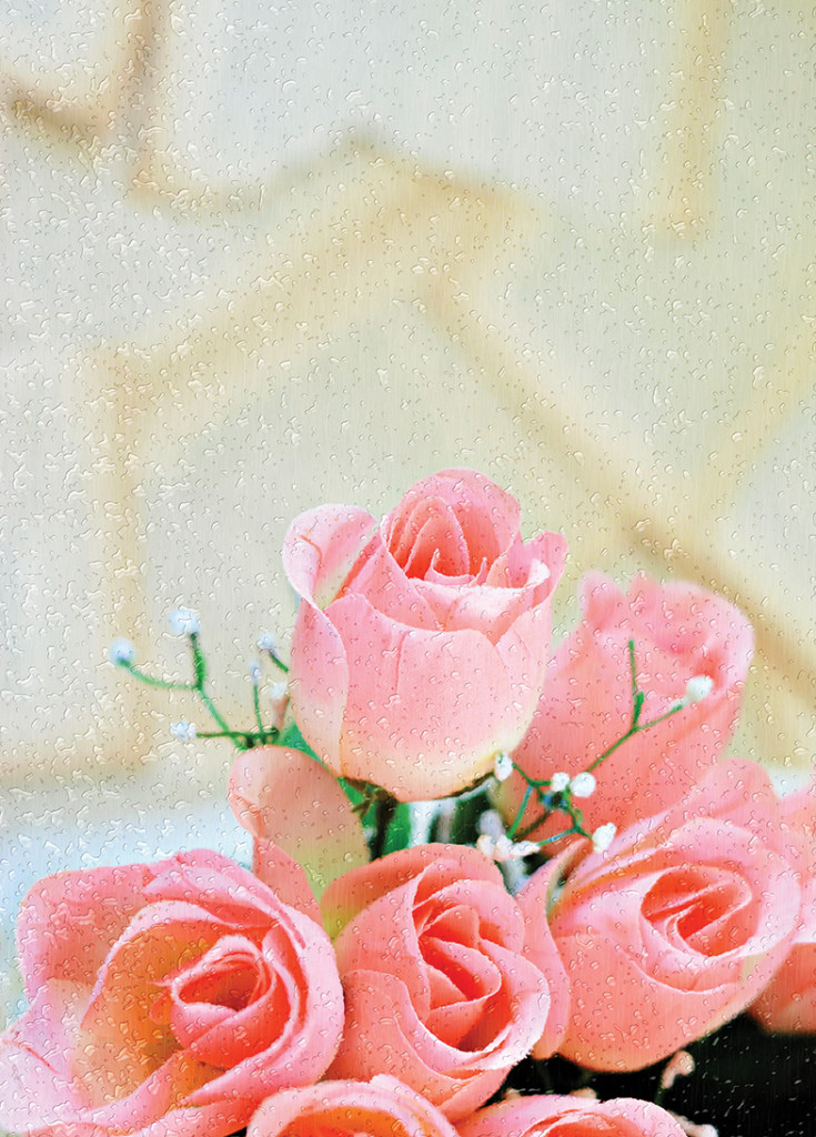 Pink Roses (2).jpg web
