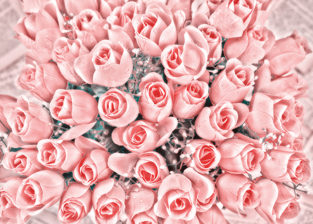 Pink Roses Bunch.jpg web
